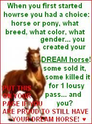 dream horse Pictures, Images and Photos