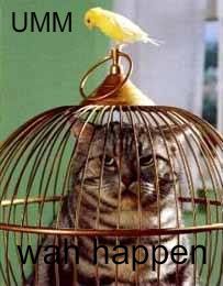 Cats_Funny_Pictures-Caged_Cat.jpg