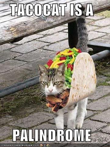 TacoCat.jpg