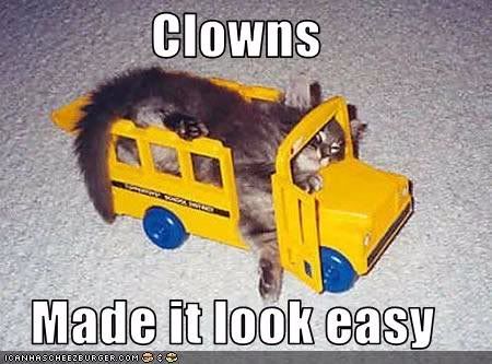 clowncat.jpg