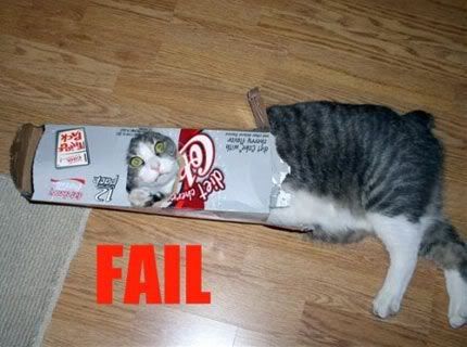 kittyfail.jpg