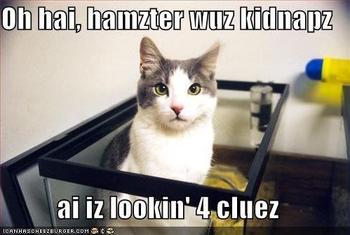 lolcat107.jpg