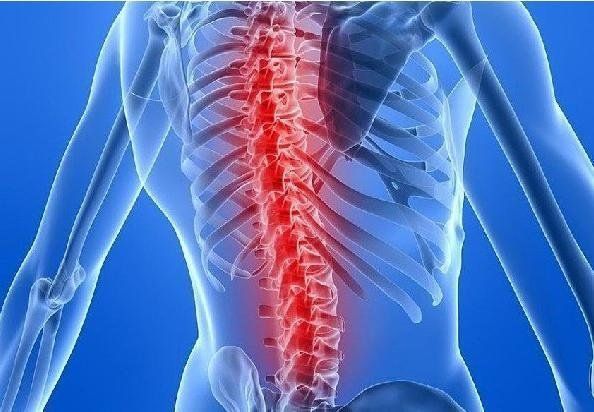 Kosmodisk Classic Spine Massager Pain Relief at spine and back area Kosmodisk Classic Spine Massager Pain Relief at spine and back area