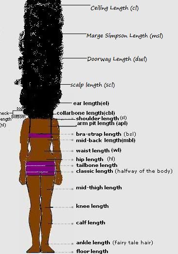 hairchart.jpg