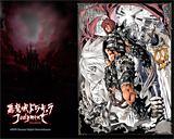 Castlevania Judgment Wallpaper