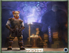 Kingdom of Amalur Reckoning