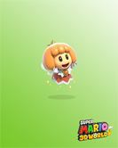 Super Mario 3D World Image