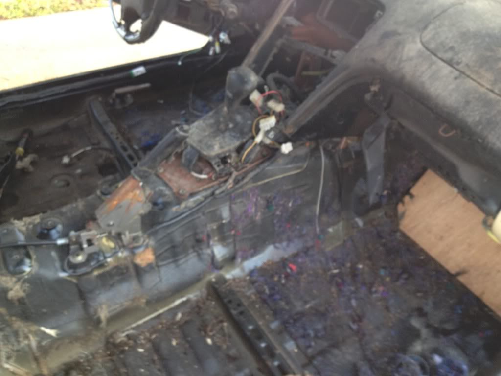 Photobucket Pictures, Images and Photos