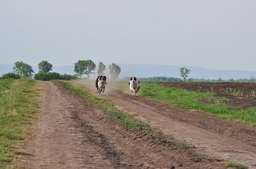 aaDSC_6828.jpg