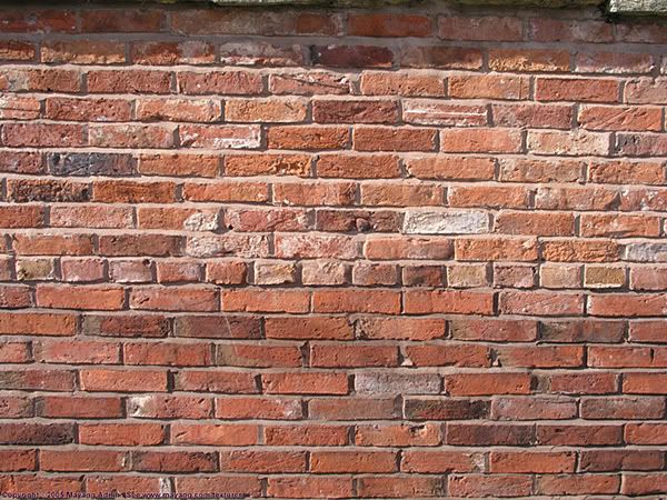 Brick Wall Pictures, Images and Photos