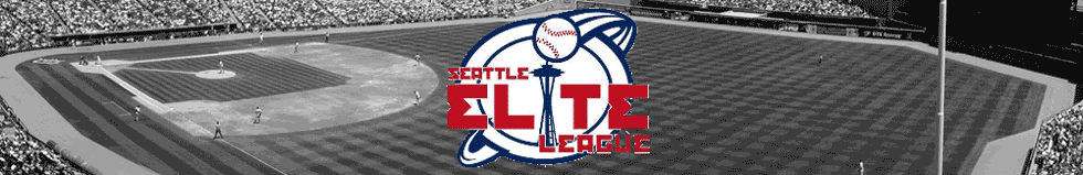 Seattle Elite Baseball