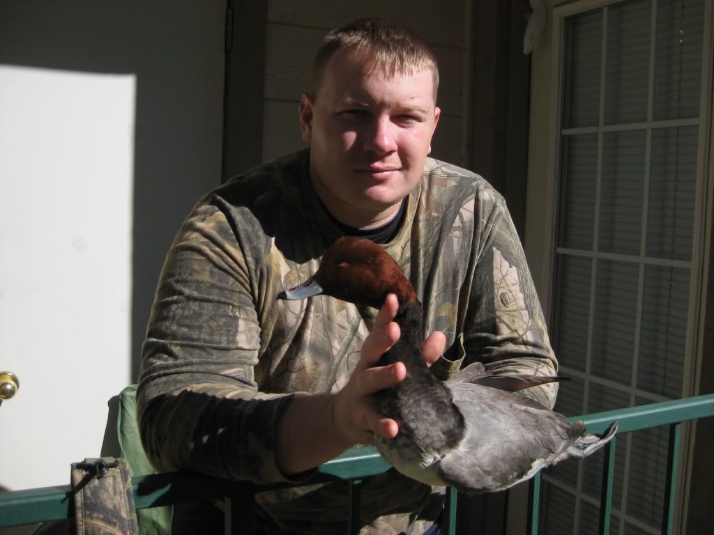 first redhead and blackjack Diver Duck Hunting