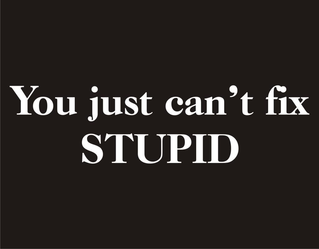 you just can"t fix stupid offensive mean rude dumb adult humor