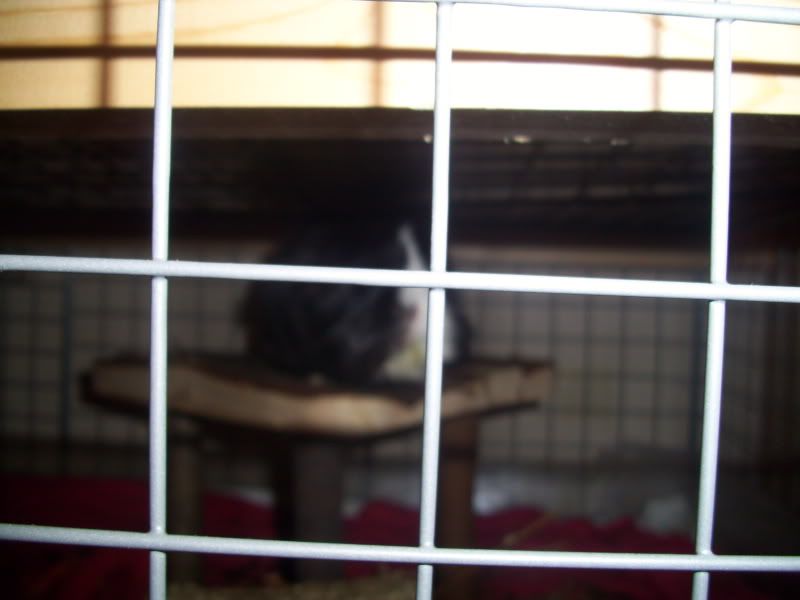 001-12.jpg