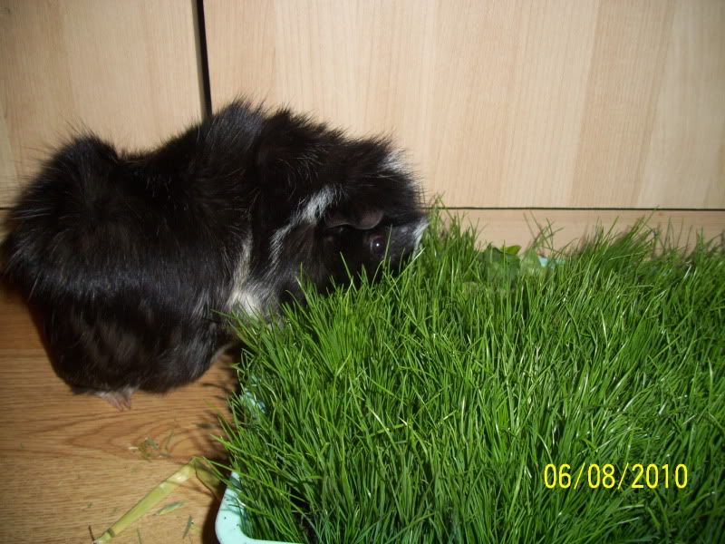 003-10.jpg