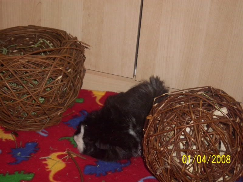 003-6.jpg