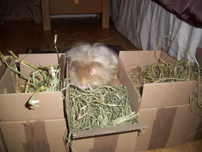 004-11.jpg