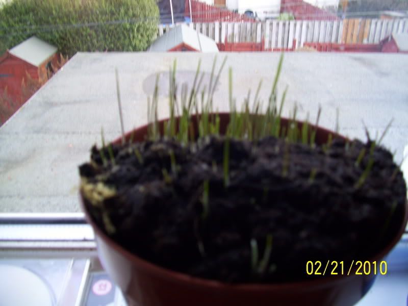 005-1.jpg