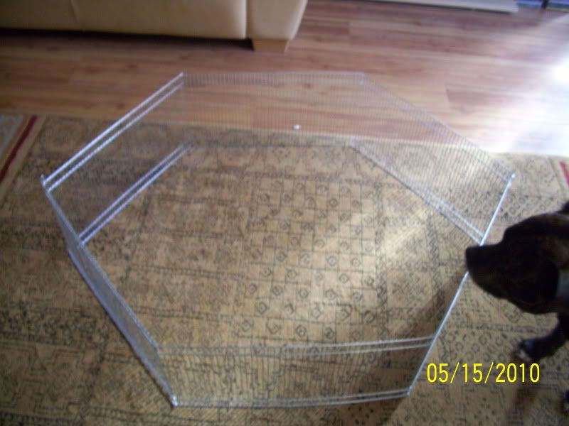 005-5.jpg