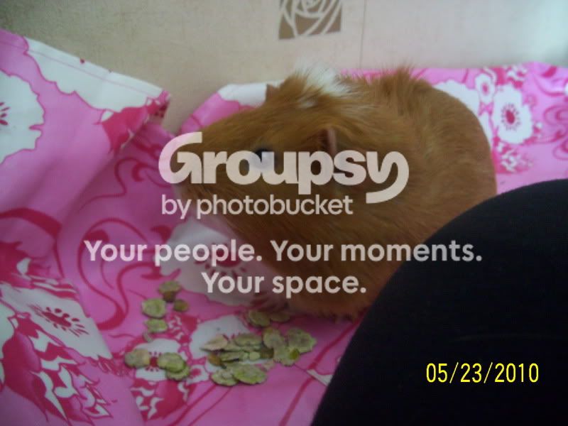 008-8.jpg