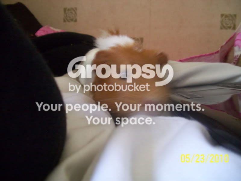 011-5.jpg