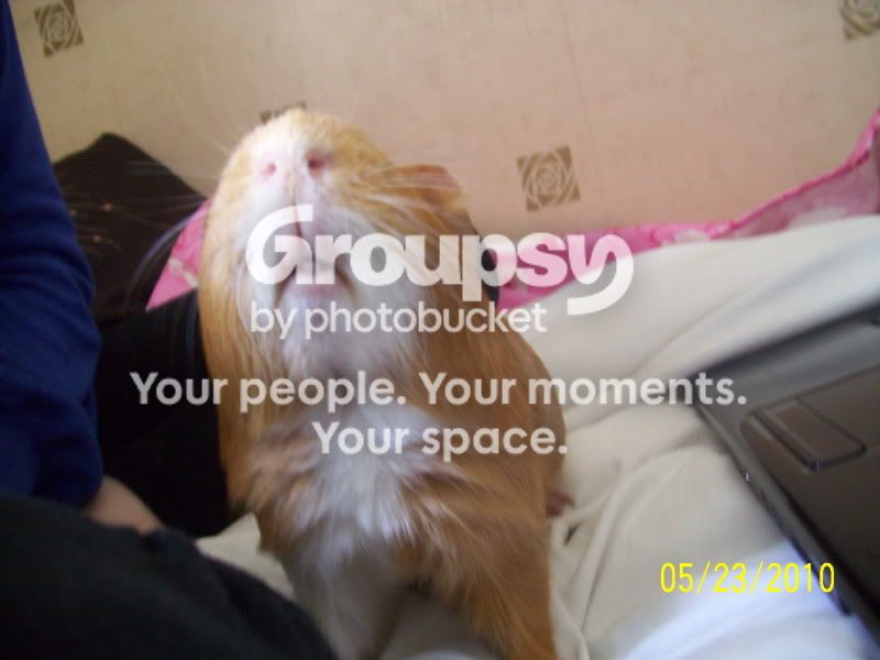 012-5.jpg