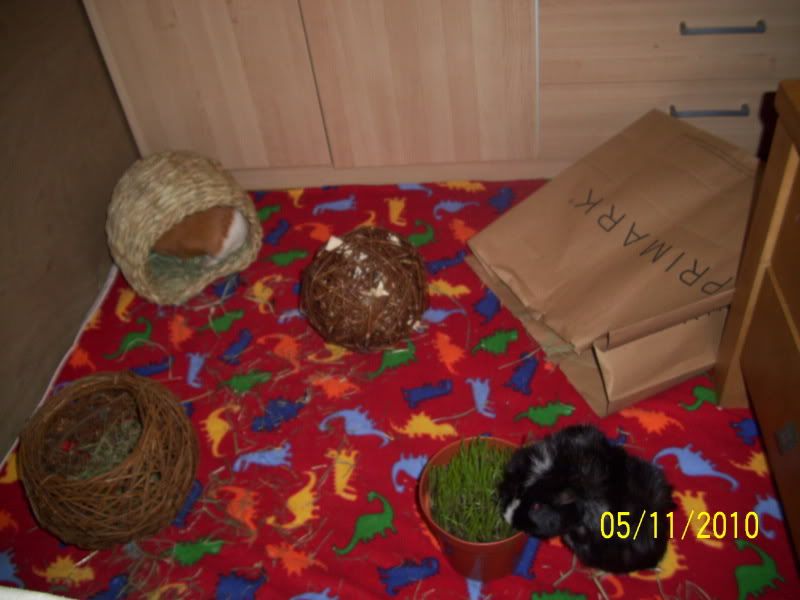 014-1.jpg