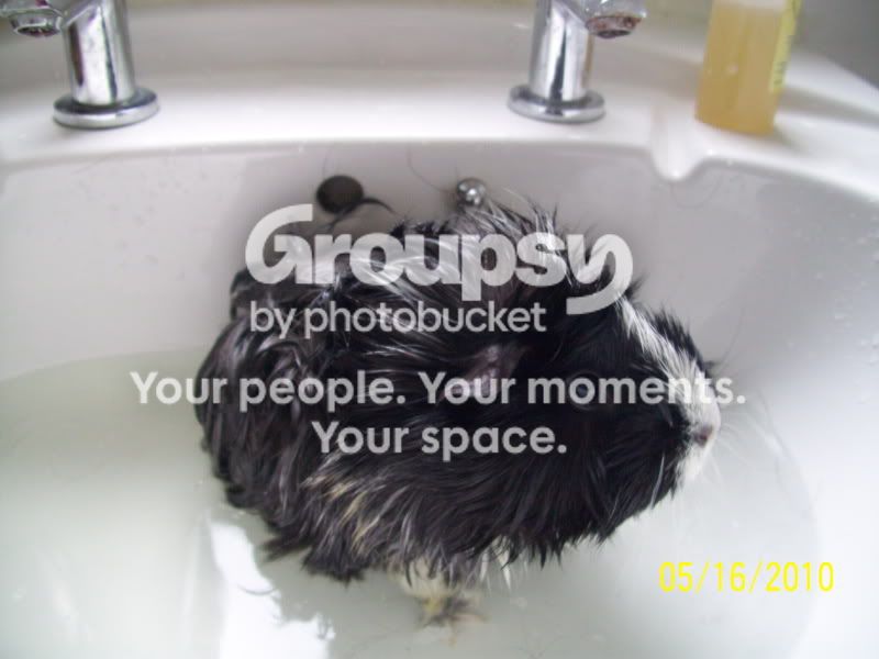 019-1.jpg