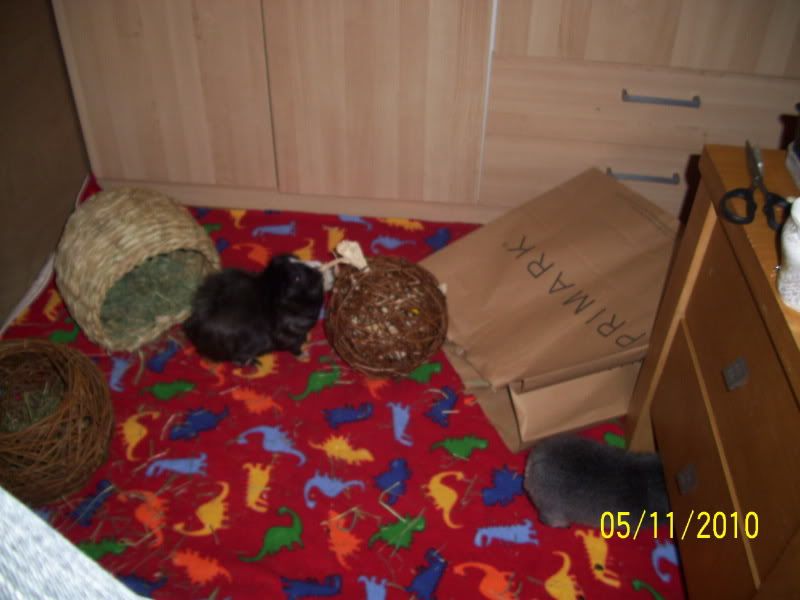 021-5.jpg