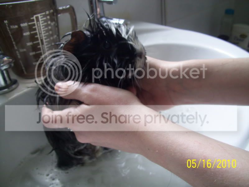 022-2.jpg
