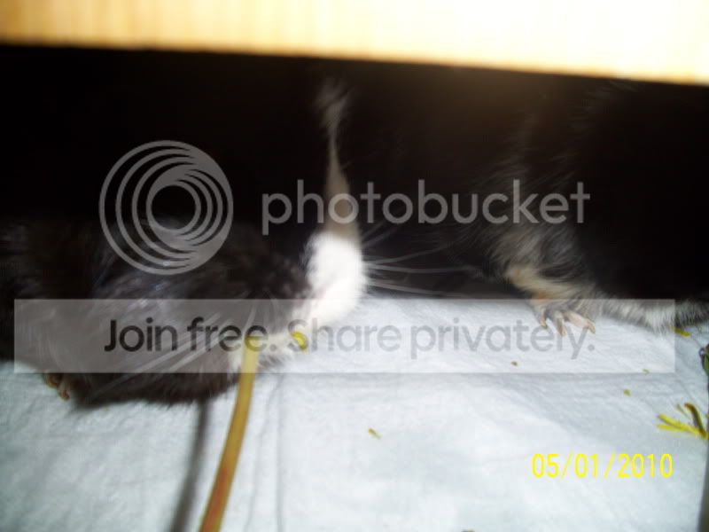 025-3.jpg