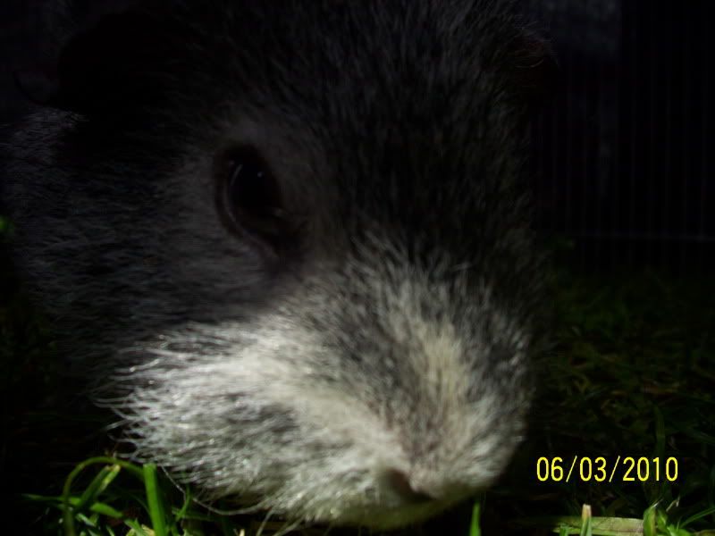 026-3.jpg
