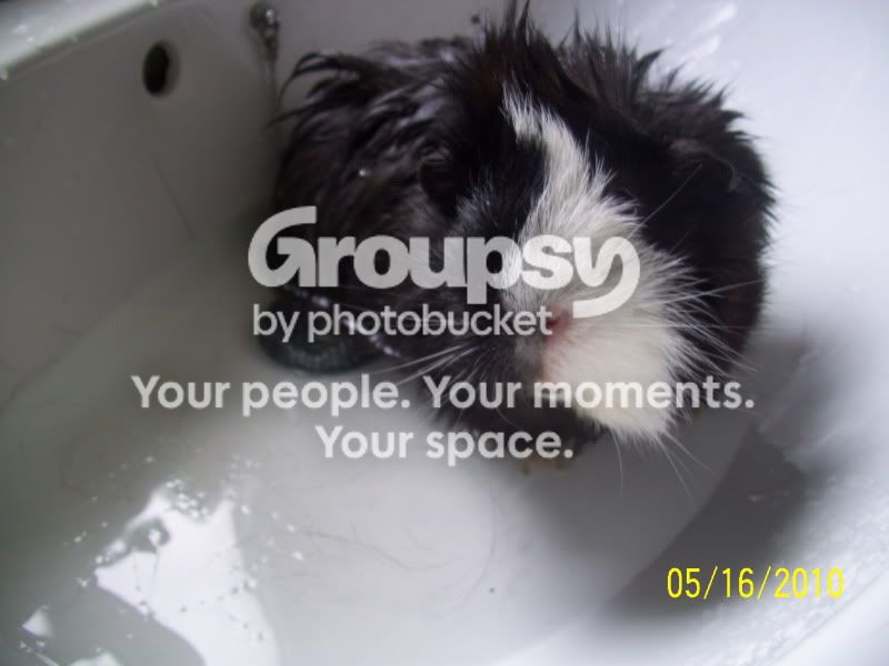 057-1.jpg