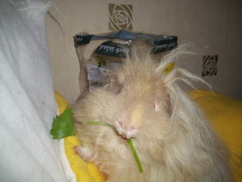 011-12.jpg