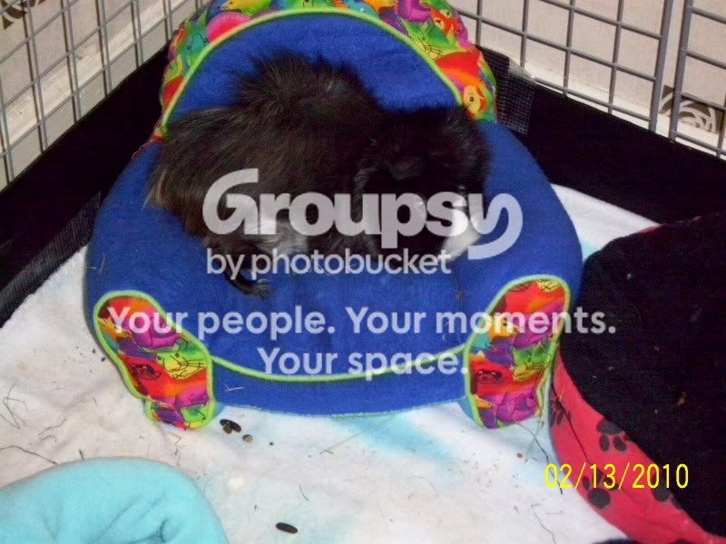 001.jpg