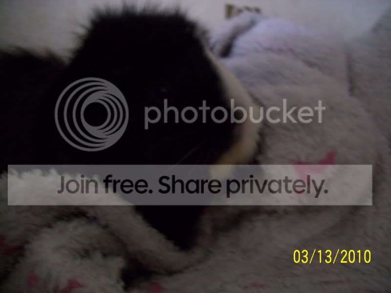 009-3.jpg
