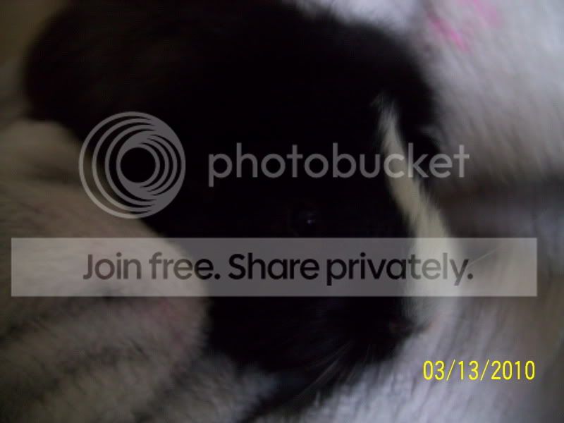 013-1.jpg