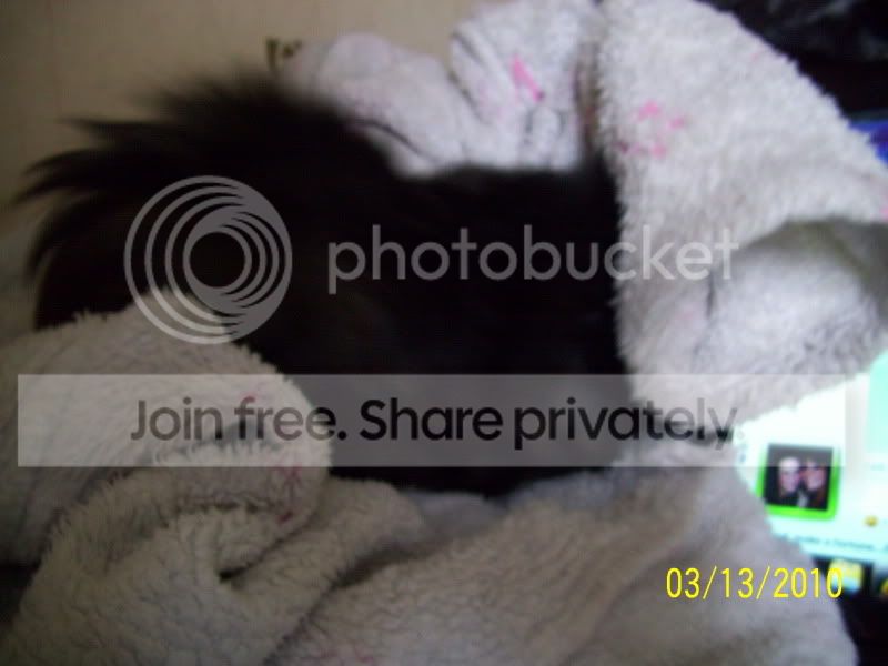 015-2.jpg