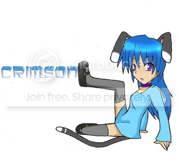 User Image