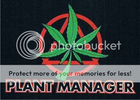 PLANT MANAGER Adult Humor Pot Office Weed Funny T Shirt  