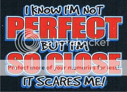 NOT PERFECT BUT SO CLOSE IT SCARES ME Funny T Shirt  