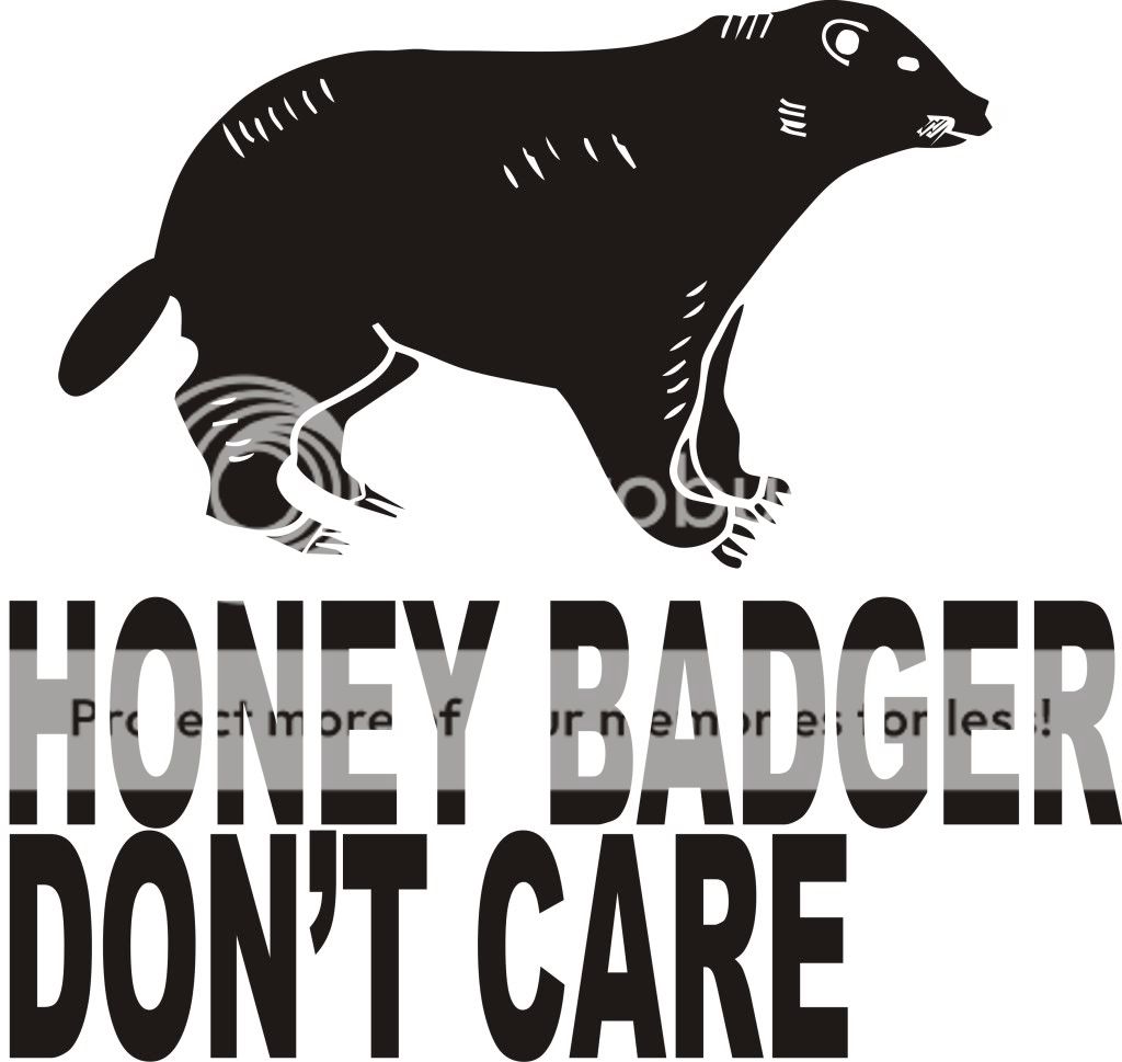 Print Colors HONEY BADGER DONT CARE Animal Web Video Hit Crazy 