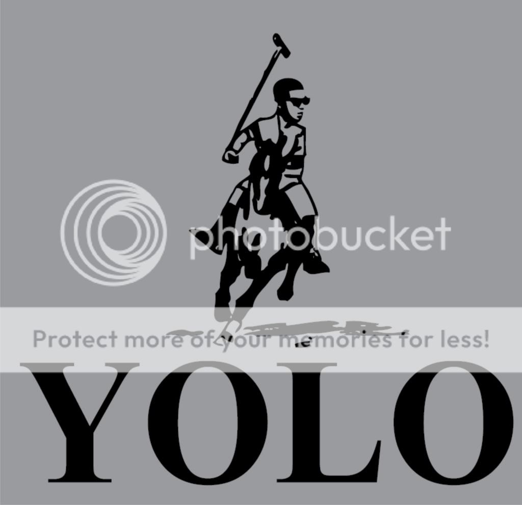YOLO Drake Drizzy Weezy Lil Wayne YMCMB You Only Live Once OVO Funny T