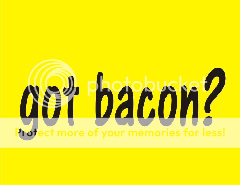 GOT BACON? Funny T Shirt Food College Adult Humor Tee  